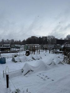 5 winter 8-1-2026