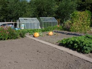 Volktuinvereninging 013