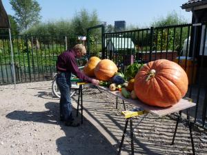 Volktuinvereninging 015